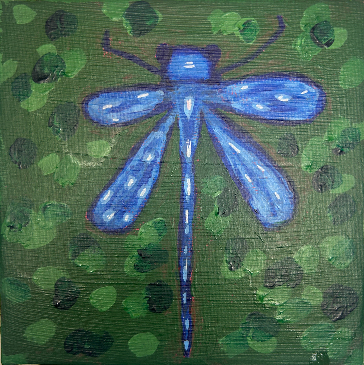 dragonfly