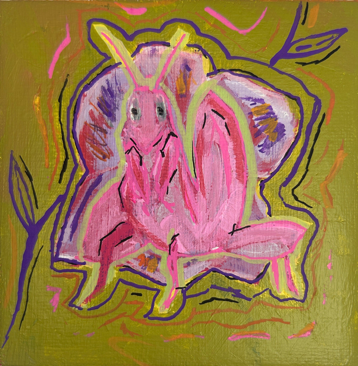 orchid mantis