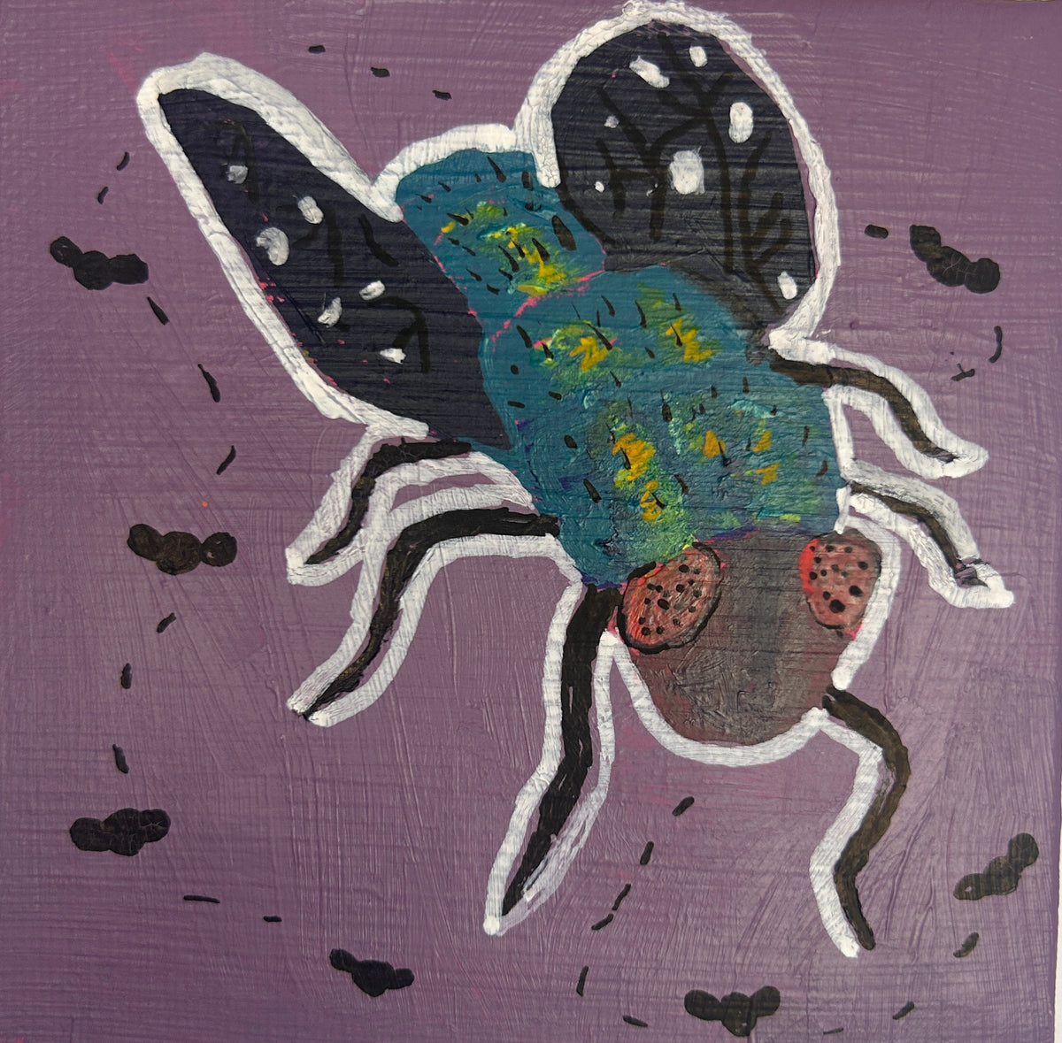 fly