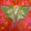luna moth