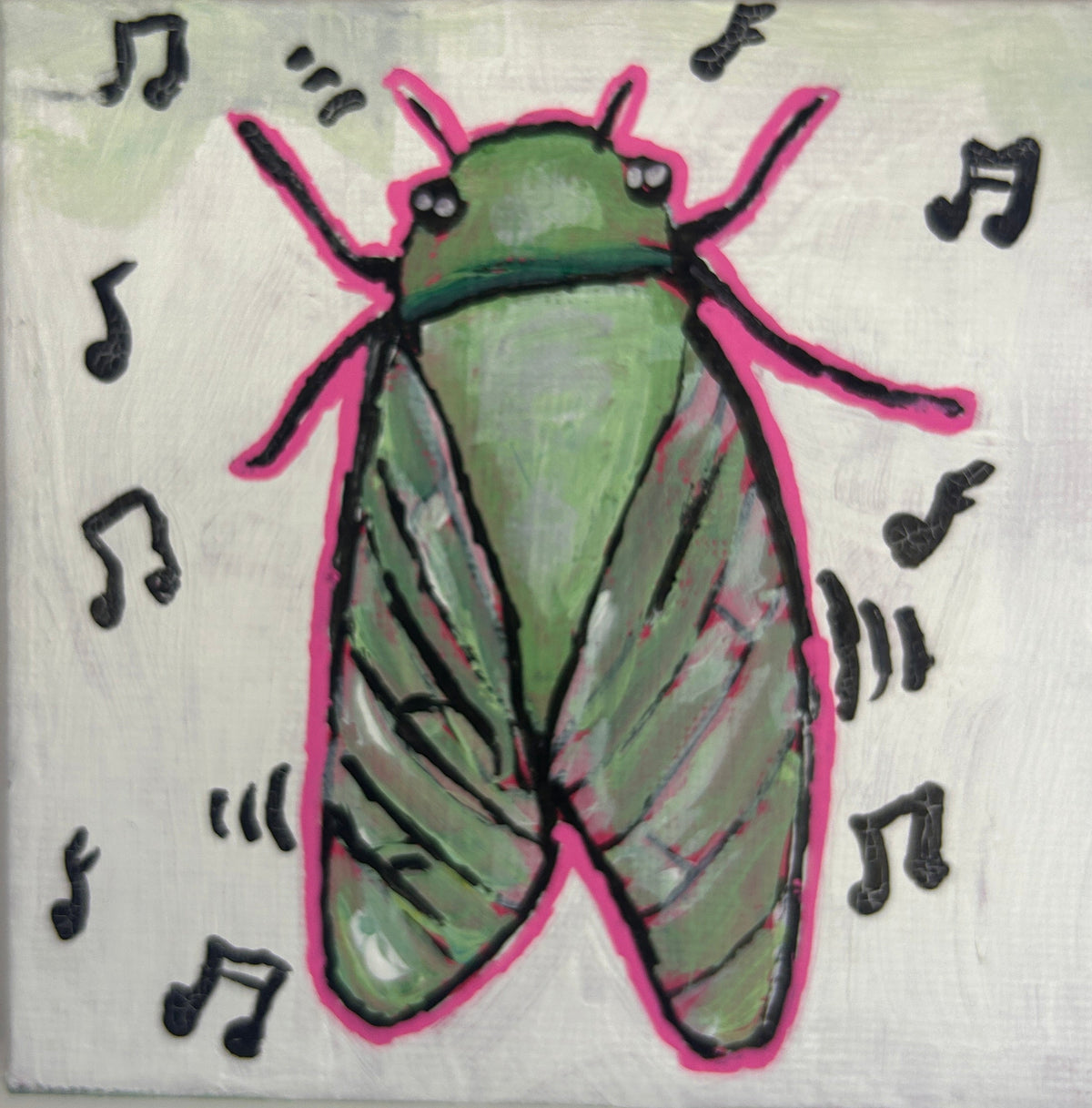 cicada