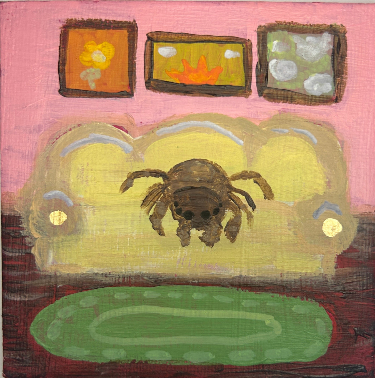 jumping spider