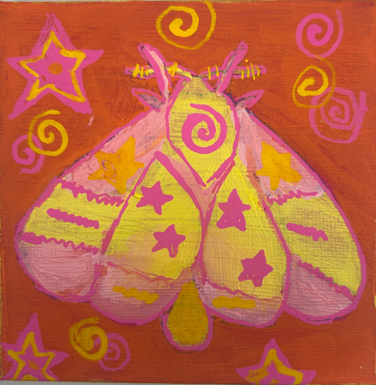 rosy maple moth