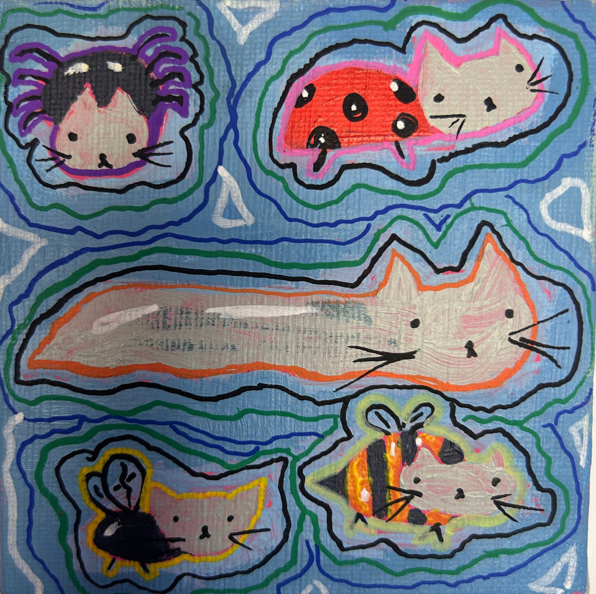 cat bugs